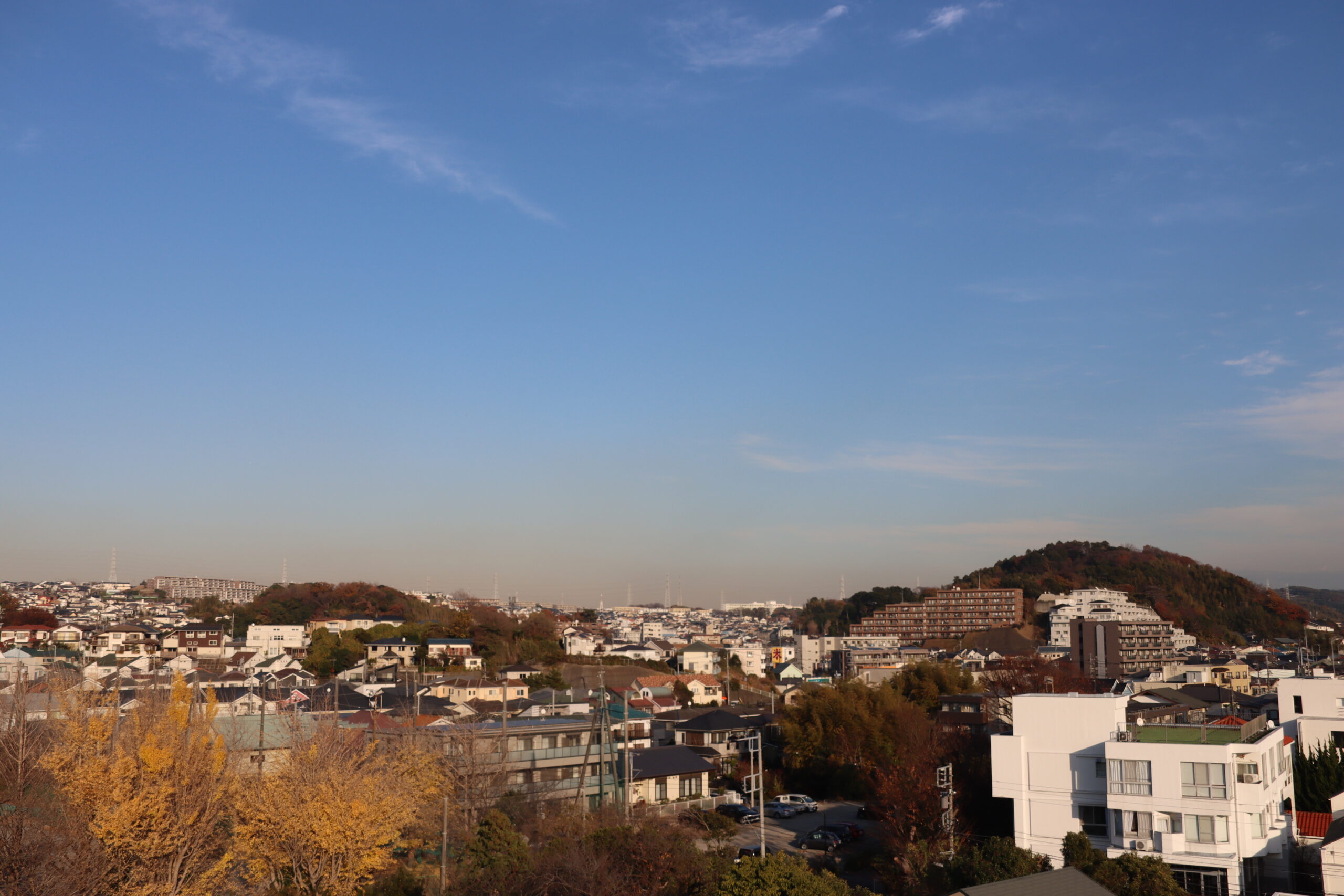 区役所屋上からの風景