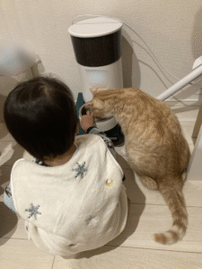 家にいるこどもと猫の後ろ姿